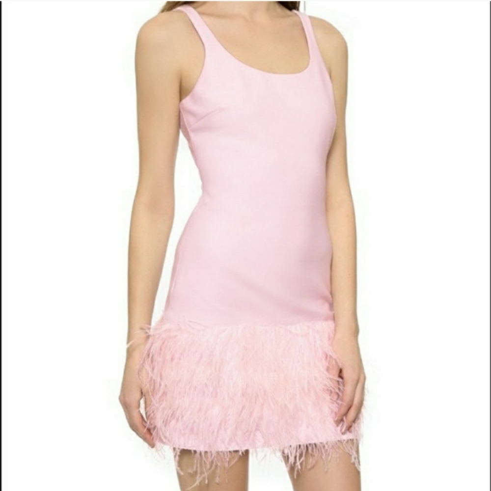 Feather Trim Dress